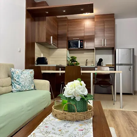 Διαμέρισμα Spacious Cozy 2br Home2host Μπάνσκο